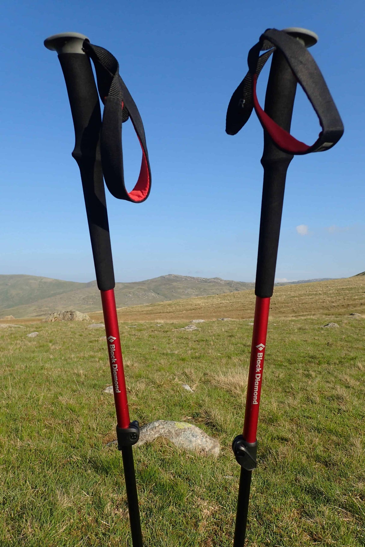Black Diamond Trekking Poles Trail Trekking Poles