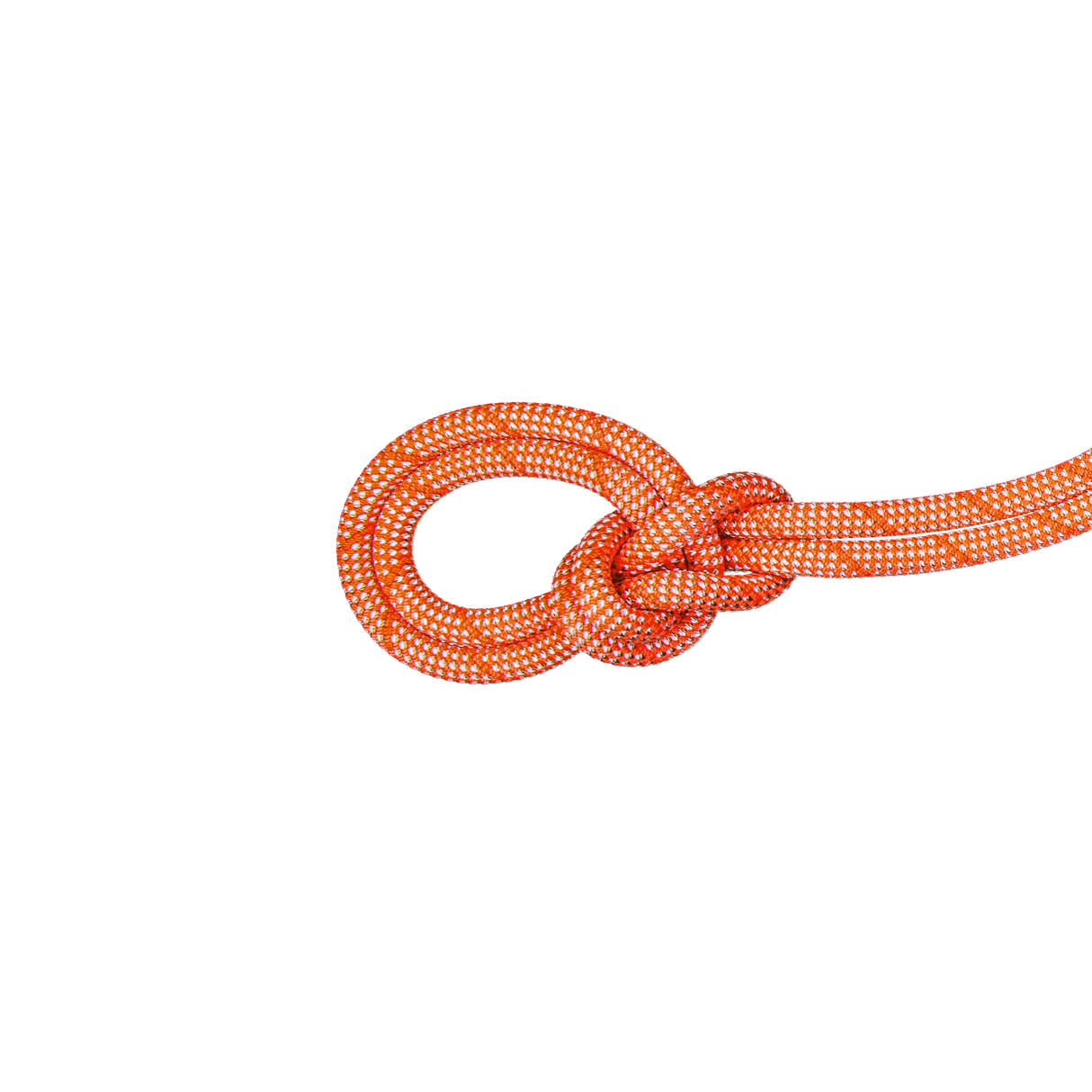 mammut Climbing Rope 9.8 Crag Classic