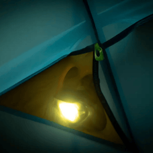 Nemo Tent Aurora Highrise Camping Tent (New Version)