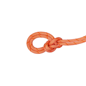 mammut Climbing Rope 9.8 Crag Classic